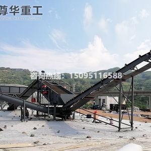 振動洗石機(jī)